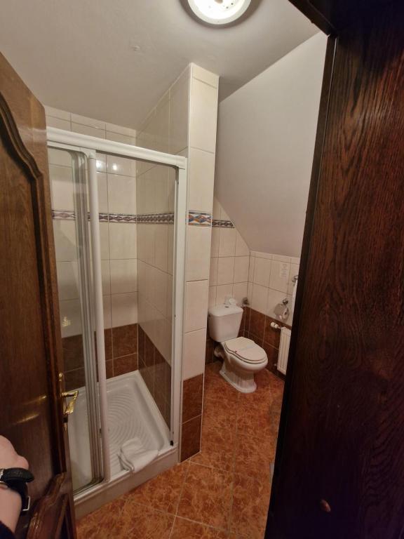 Koupelna v ubytování Hotel Razgorsek
