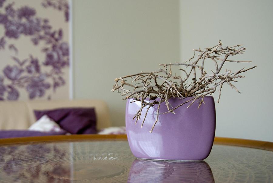 Fotografie z fotogalerie ubytování Antoinettes Ferienwohnung v destinaci Ilmenau