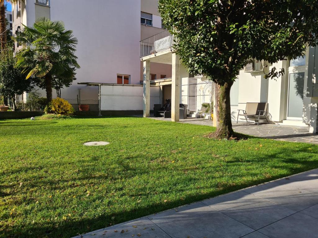 un patio verde con un árbol y una casa en Renovierte Ferienwohnung im Zentrum von Locarno en Locarno