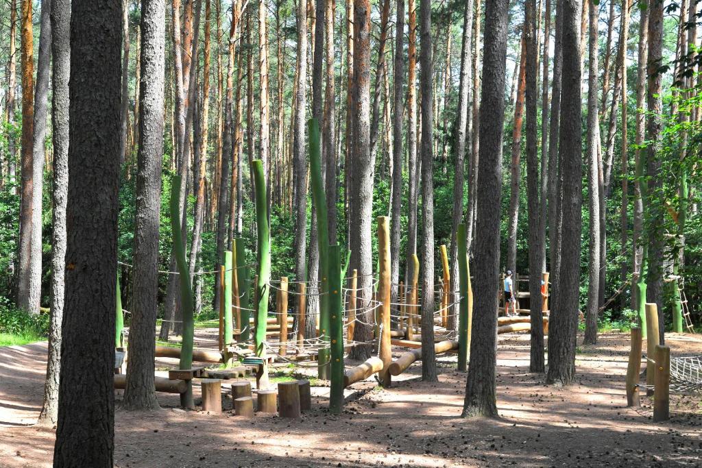 Zahrada ubytování Waldcamping Brombach