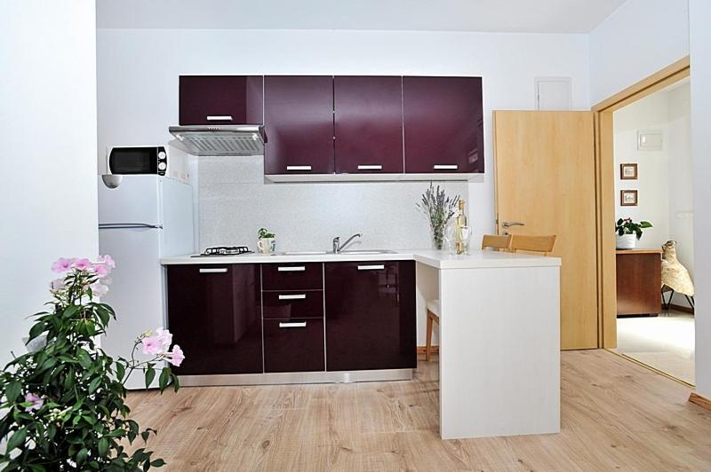 Kuchyňa alebo kuchynka v ubytovaní Apartment in Poljana with sea view, terrace, air conditioning, WiFi 3617-2