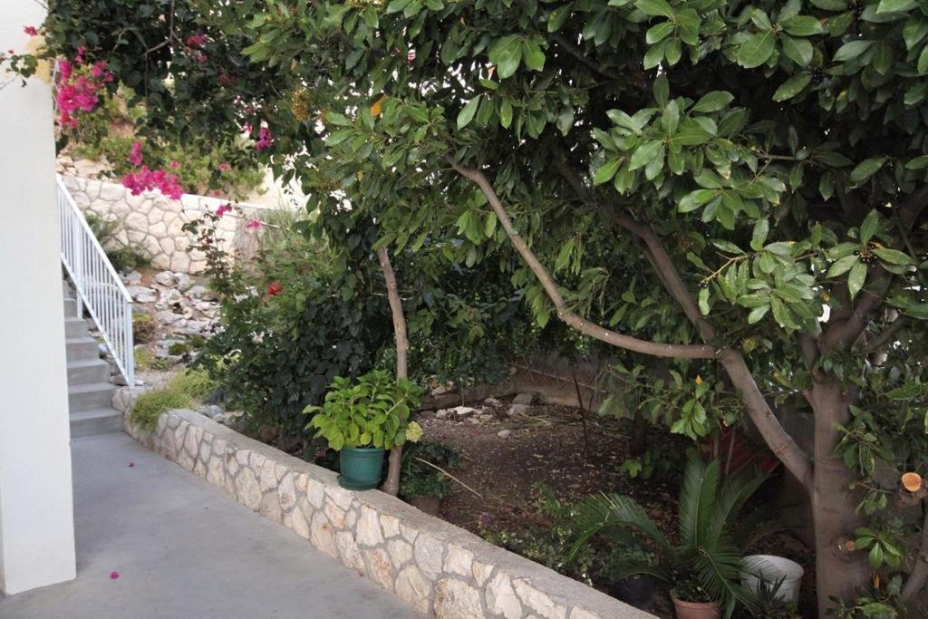 Vonkajšia záhrada v ubytovaní Apartment in Hvar town with sea view, balcony, air conditioning, WiFi 3615-1