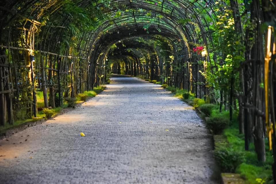 an archway of trees and plants on a road at Bougainvillea Retreat & Spa in Kāhārpāra