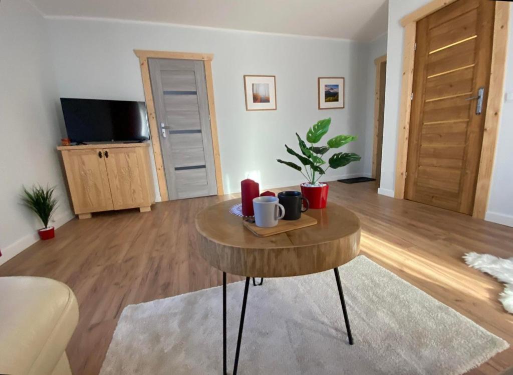 Willa Pod Wyciągiem - Apartment