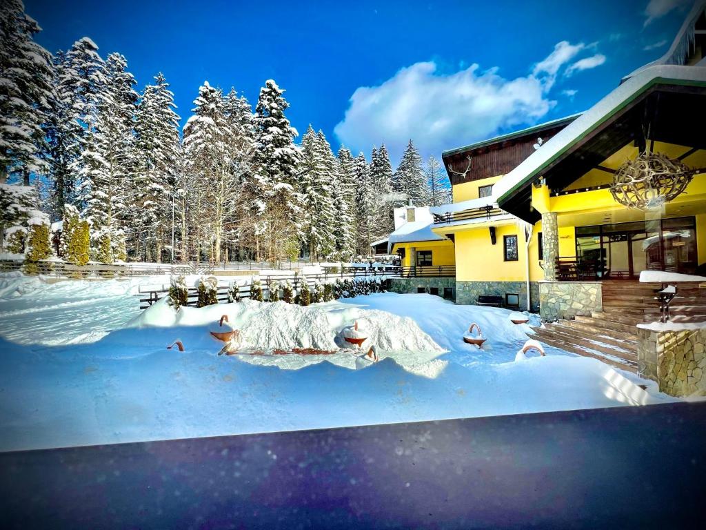 Hotel Casa Viorel jacuzzi & saunas - Resim 28