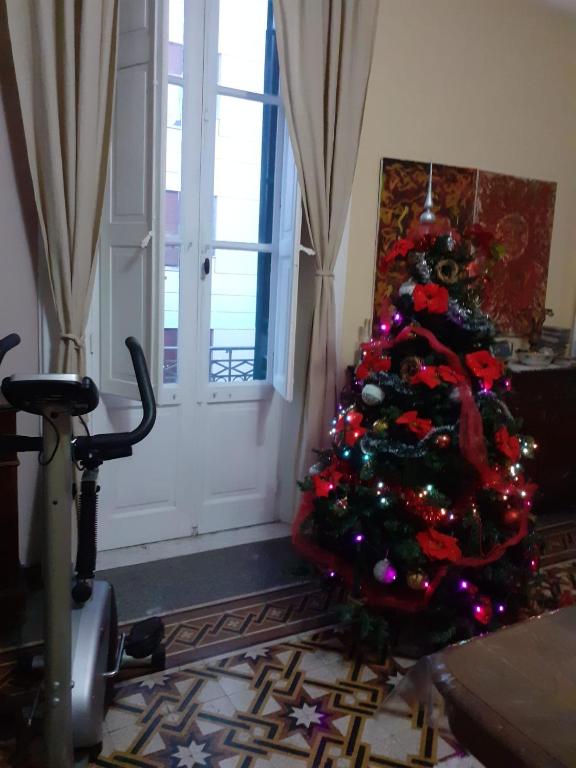 Fotografia z galérie ubytovania La Casa di Rosa v destinácii Messina