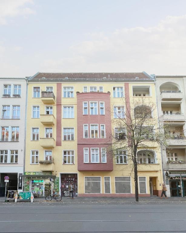 Homaris Boxi Studios