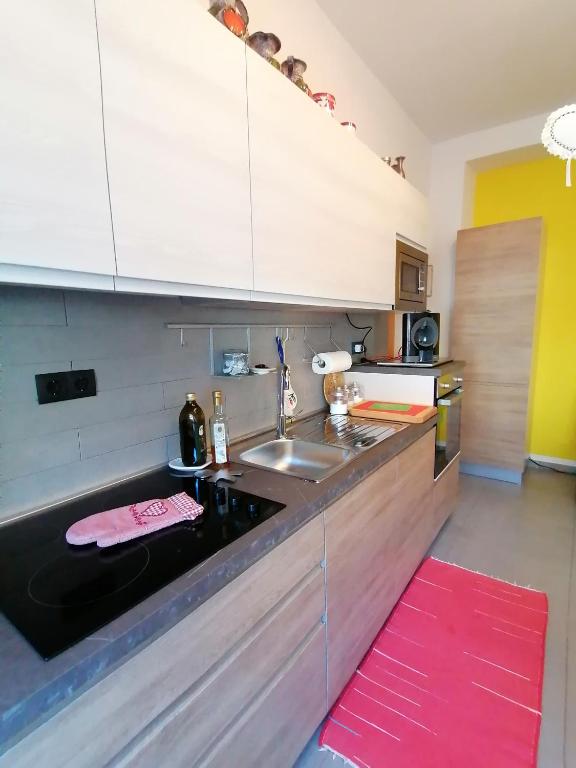 Kuchyň nebo kuchyňský kout v ubytování Villa Alessandra
