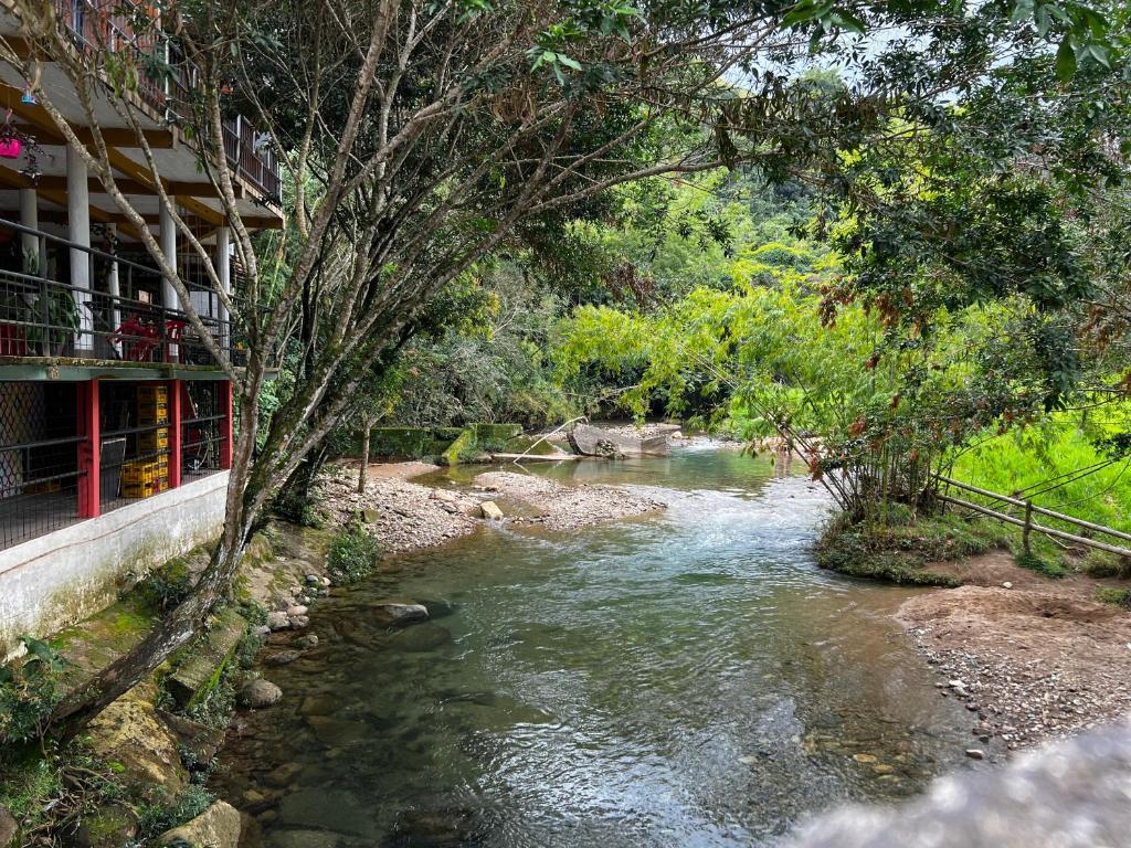 Gallery image of Ecohotel Las Pavas Norcasia Caldas in Norcasia