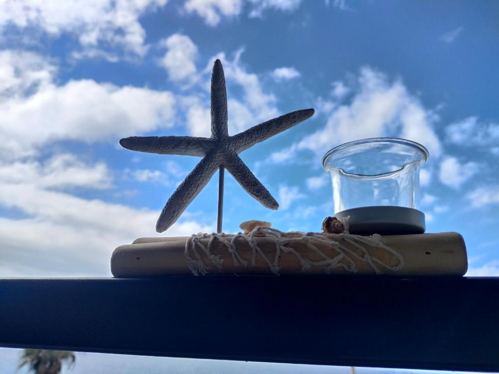 a starfish on top of a table with a glass at Kailani Tacoronte in Santa Cruz de Tenerife