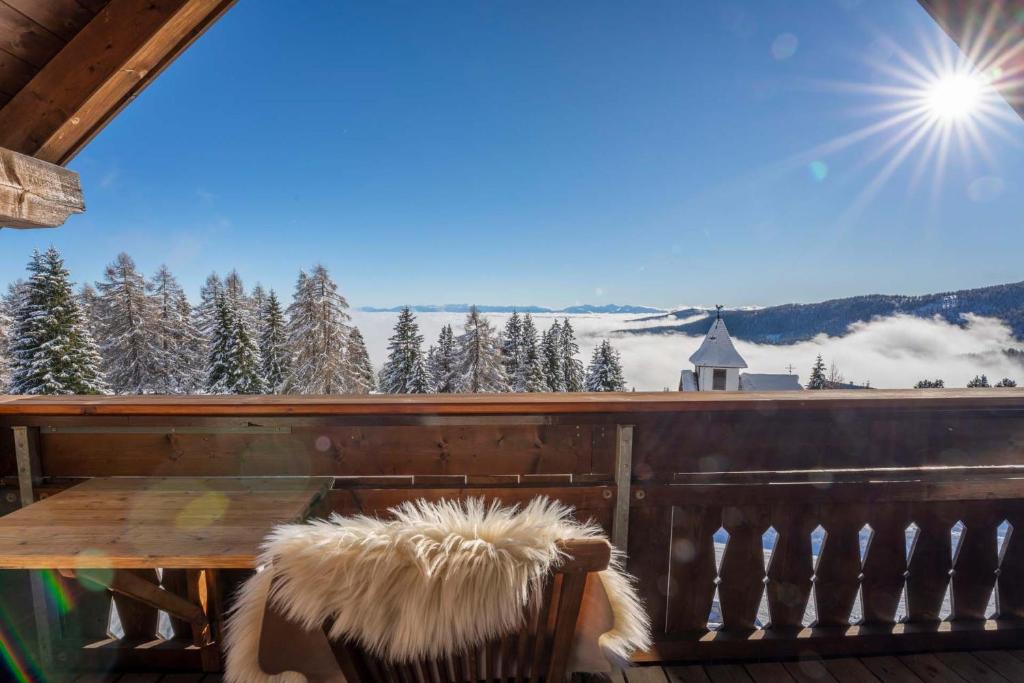 Příroda nedaleko apartmánu