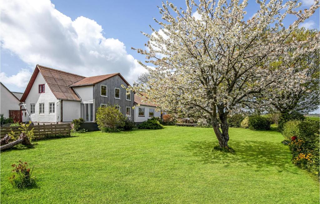 a yard with a tree and a house at Cozy Home In Svaneke With Kitchen in Svaneke