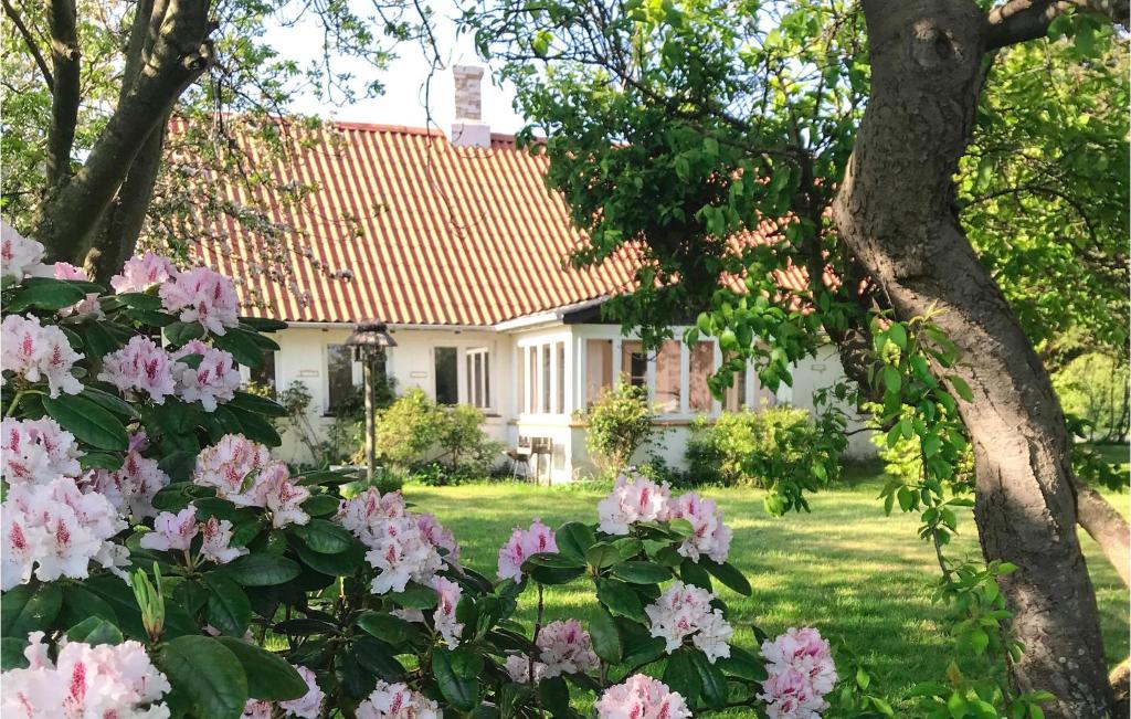 a house with pink flowers in the yard at Awesome Home In Ask With 2 Bedrooms And Wifi in Maribo