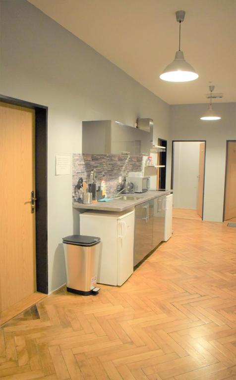 Kuchyň nebo kuchyňský kout v ubytování GLOBE Hostel Prague ADULTS ONLY