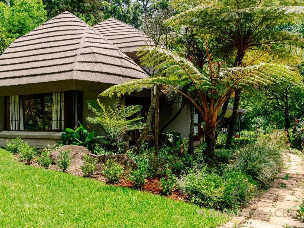 a house with a palm tree in a garden at Pleasant Places By Sanaandi in Lidgetton
