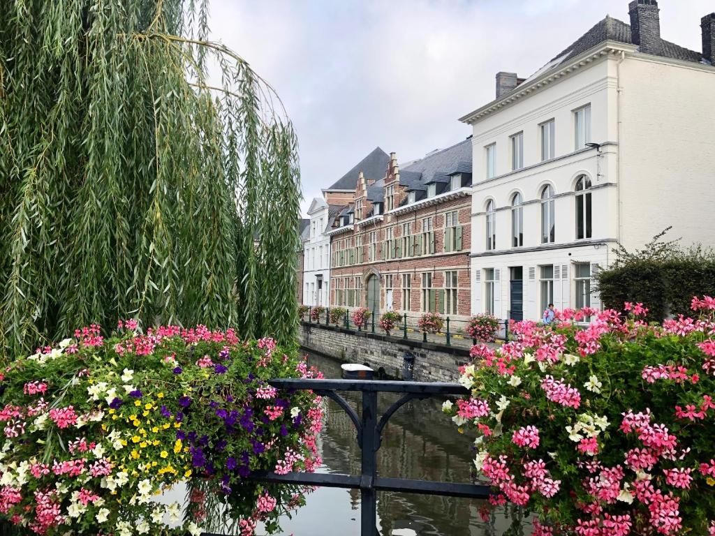 Comic Art Hotel - Resim 4