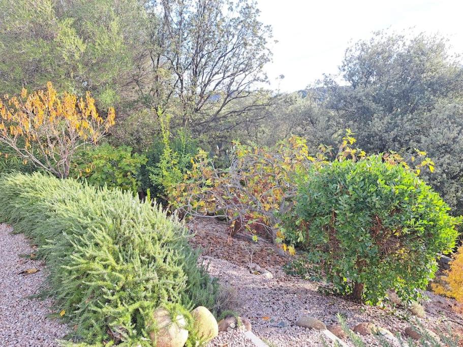 Vonkajšia záhrada v ubytovaní Villa de charme avec piscine entre Ajaccio et Porticcio