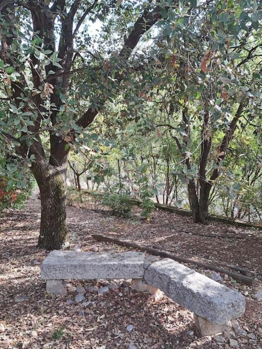 Vonkajšia záhrada v ubytovaní Villa de charme avec piscine entre Ajaccio et Porticcio