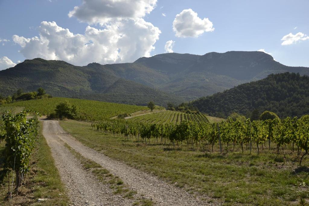 a dirt road in a vineyard with mountains in the background at Gîte &#39;An Kay Ou&#39; - Le Grand Barry in Pontaix