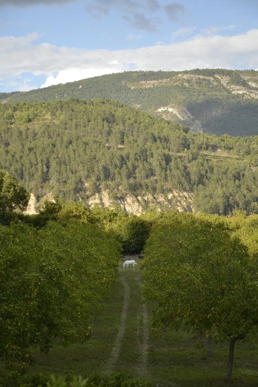 a horse walking down a road in a field with trees at Gîte &#39;An Kay Ou&#39; - Le Grand Barry in Pontaix