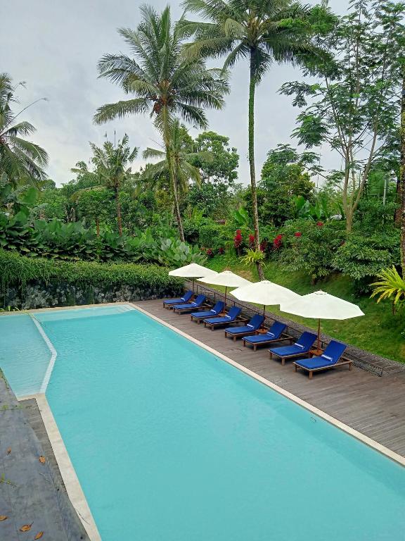 Bazén v ubytování Teras Hotel Ijen Banyuwangi nebo v jeho okolí