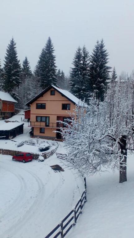 a house covered in snow in front of a yard at Apartman Miron Pale in Pale