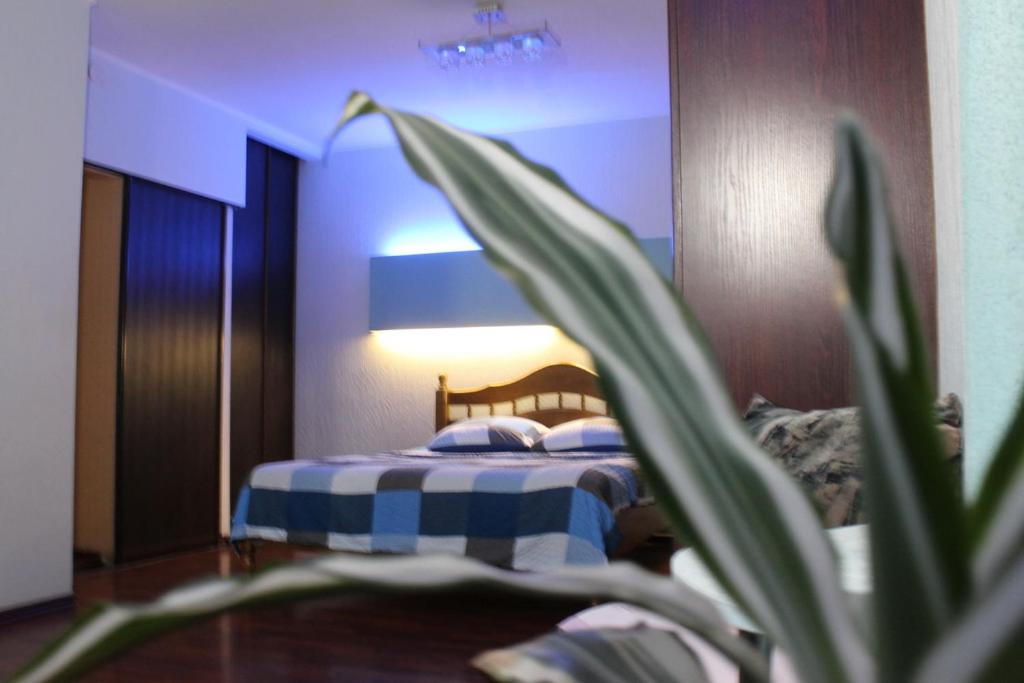 1 dormitorio con 1 cama y planta en el primer plano en Two-room apartment metro levada, en Járkov