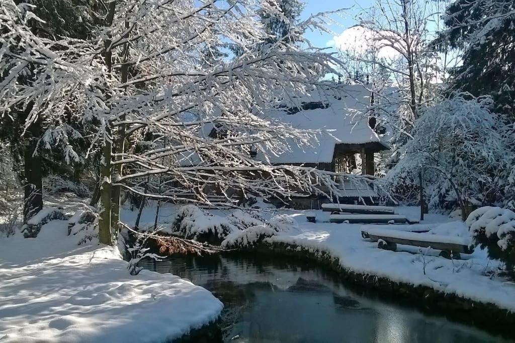 Domek Raj Zakopane v zime