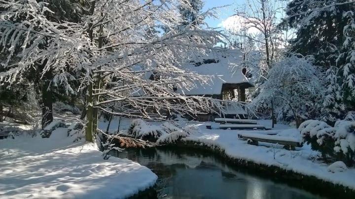 Domek Raj Zakopane v zime