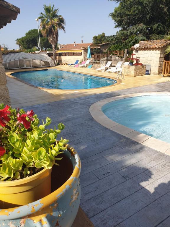 a swimming pool with two potted plants next to it at Gites Le Pressoir in Vias