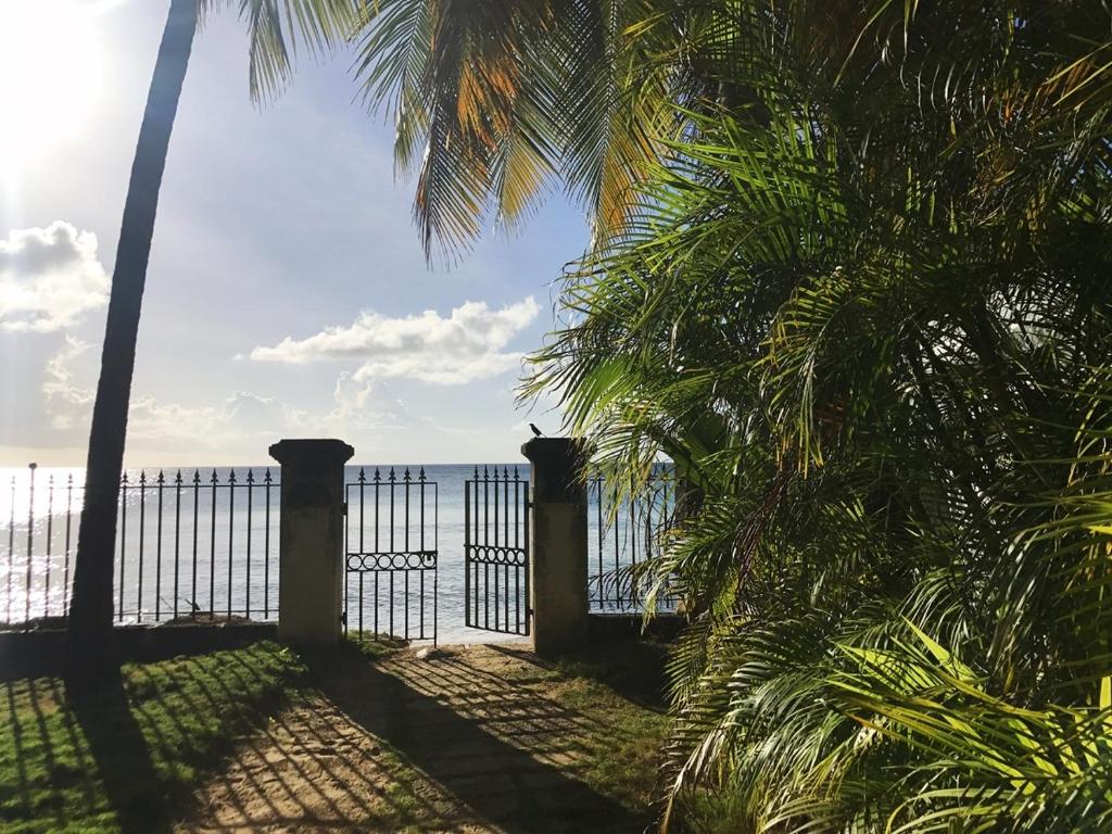 Naturlandskabet i nærheden af feriehuset