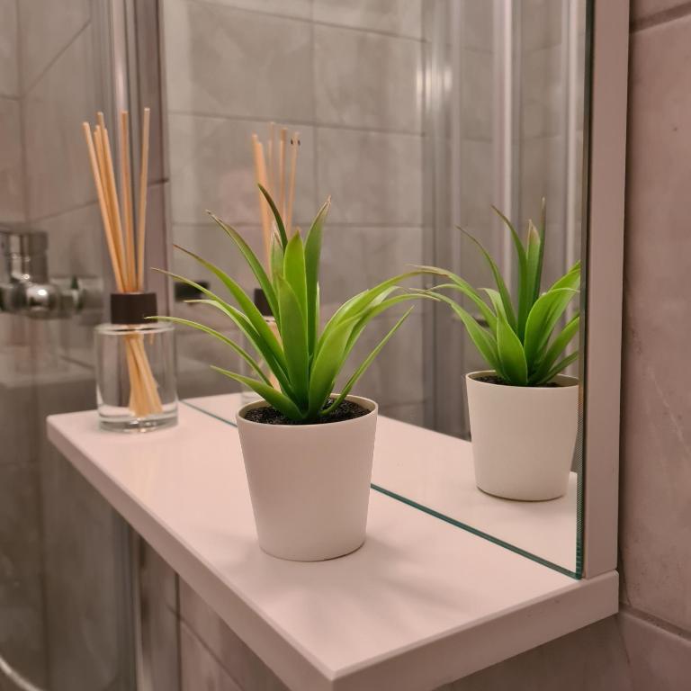 CATALEYA - One-Bedroom Apartment