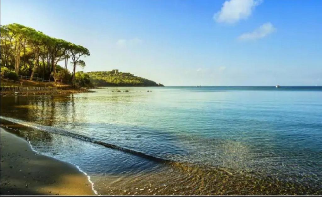 um corpo de água com palmeiras na costa em Il Rifugio, nel cuore della Maremma Toscana, zona Saturnia em Murci