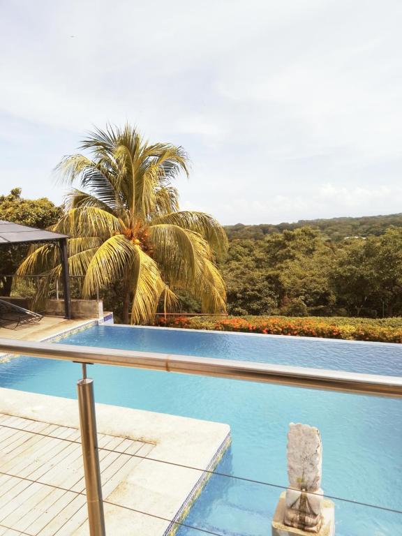 格拉納達的住宿－Finca Balcones de Granada，一座棕榈树环绕的游泳池
