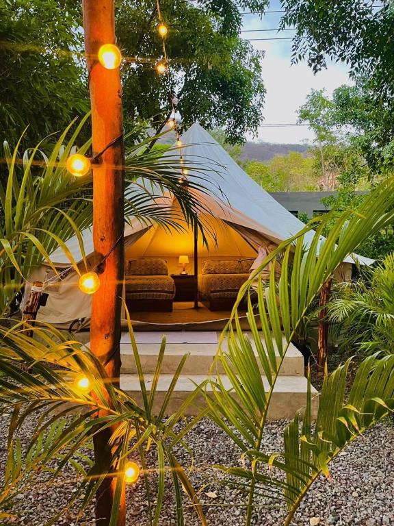 a tent is set up in a garden with lights at Punta Santa Maria in Santa María del Oro