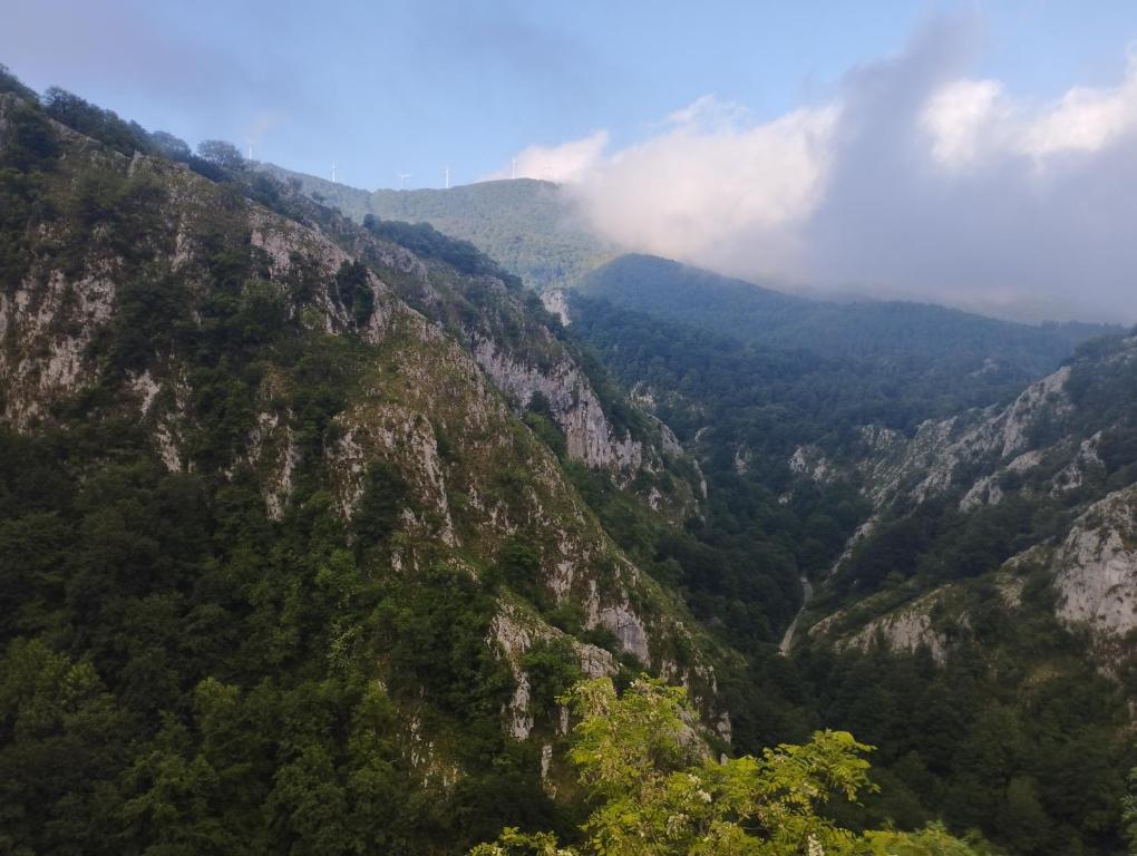Príroda v okolí hotela