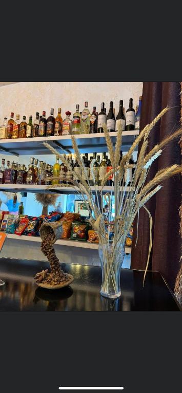 Fotografie z fotogalerie ubytování Yolyans Hotel v destinaci Goris