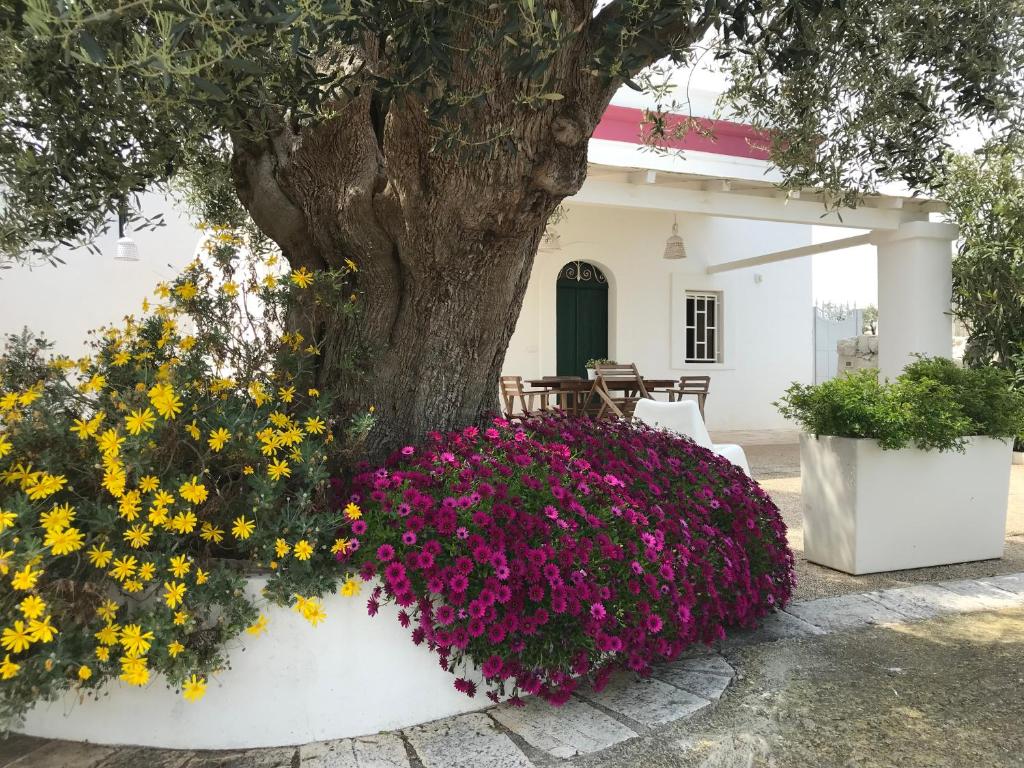 een boom en bloemen voor een huis bij BOUCANVILLE in Polignano a Mare