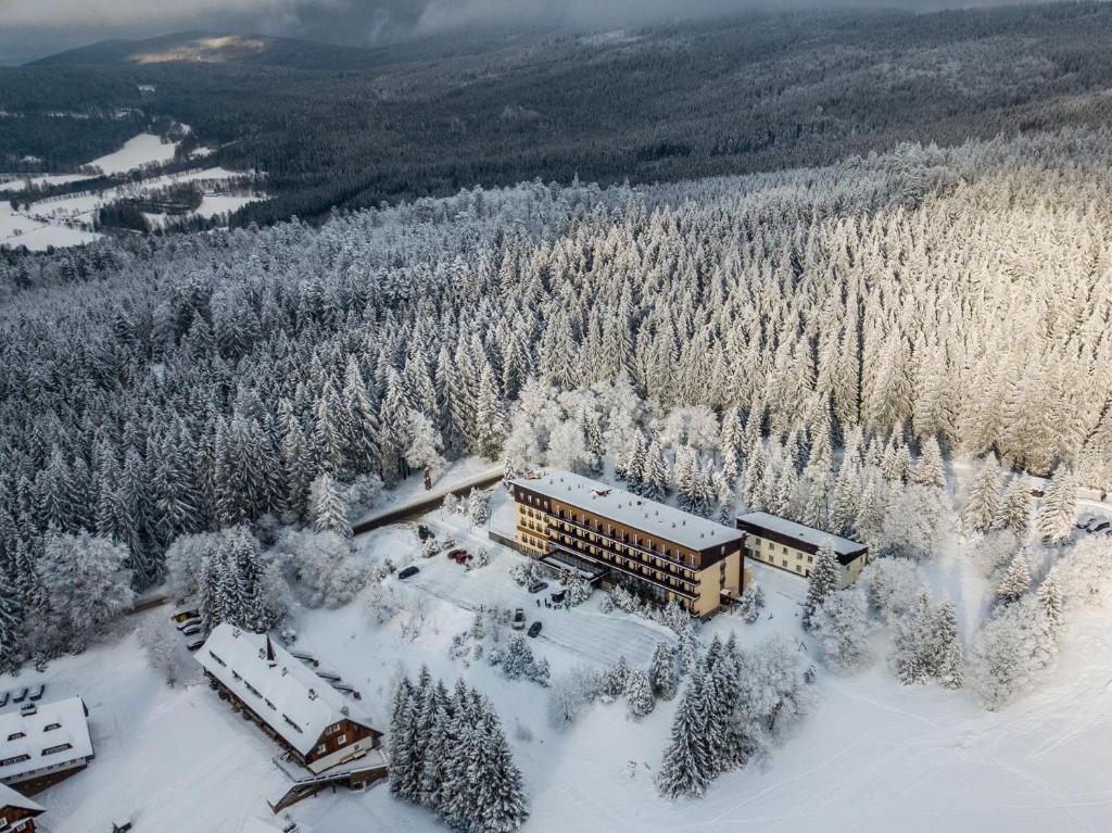 OREA Hotel Špičák Šumava - отзывы и видео