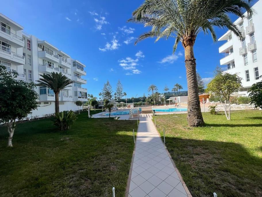 przejście w parku z palmą w obiekcie Apartamento Jogi Playa del inglés w mieście San Bartolomé