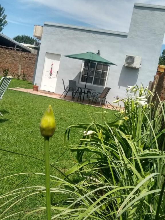 a yellow flower in front of a house at Complejo SABEJO in San Antonio de Areco