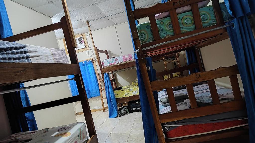 Litera o literas de una habitación en BAMBU HOSTEL