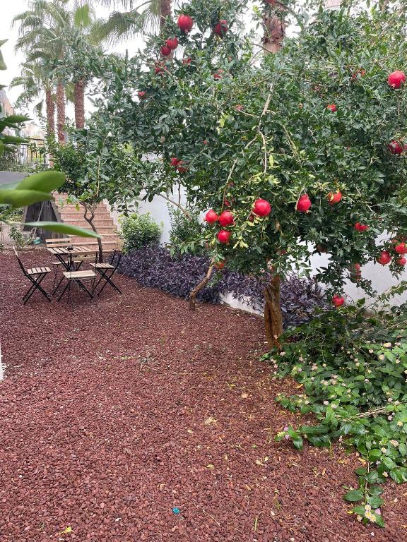 لابی و فضای عمومی ABC Apart Hotel - تصویر ۵