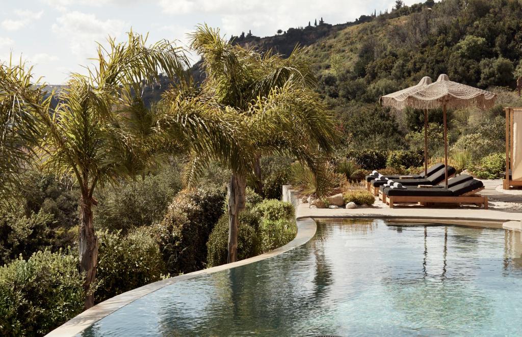 a swimming pool with palm trees and lounge chairs at F Zeen Kefalonia in Lourdhata