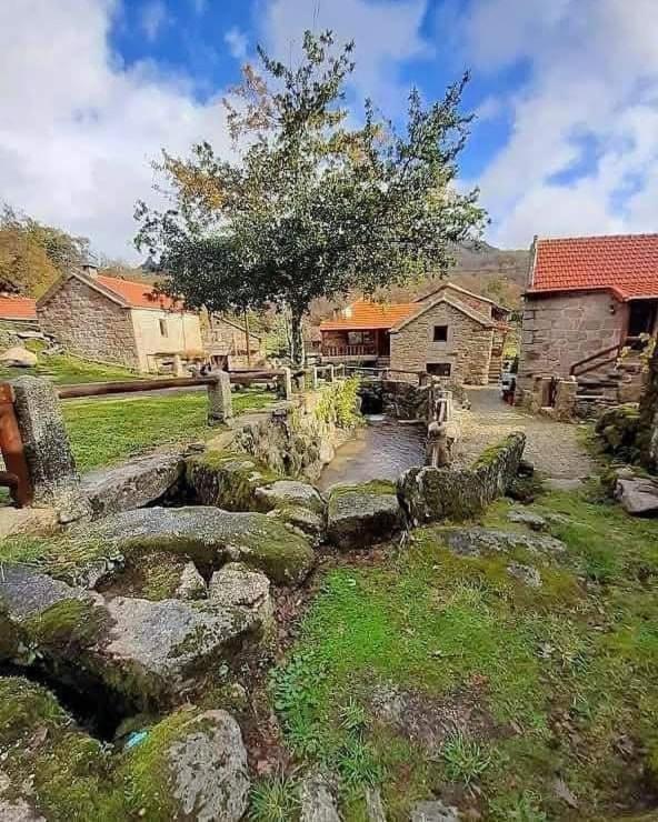 a yard with rocks and a building and a tree at Aldeia de Pontes - Castro Laboreiro in Castro Laboreiro