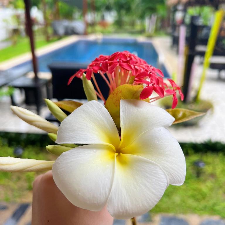 Wirason Residence - 18