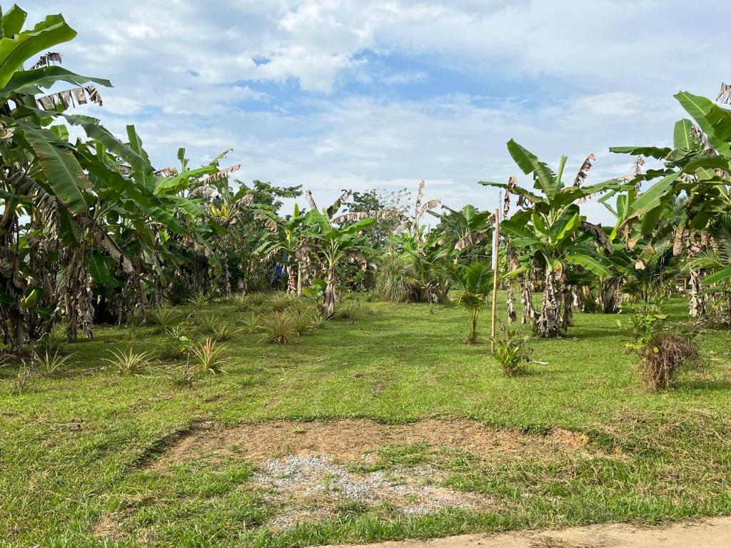 Zahrada ubytování Rak Suan Homestay รักสวนโฮมสเตย์