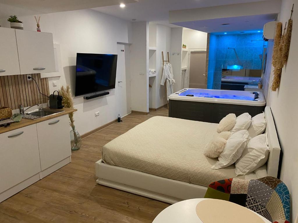 een slaapkamer met een bed en een tv in een kamer bij Superbe suite avec jacuzzi patio et sauna in La Ciotat