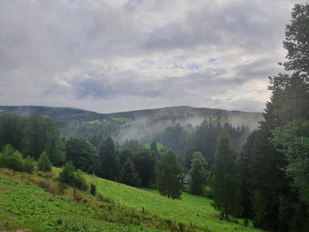 Příroda nedaleko apartmánu
