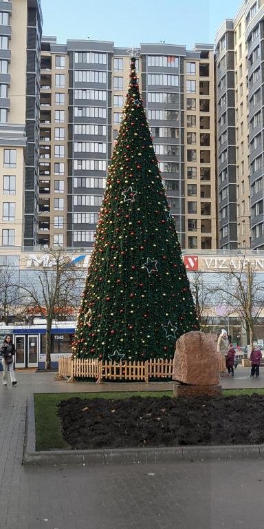 Un grand arbre de Noël au milieu d'une ville dans l'établissement Уютная квартира у парка, à Chişinău